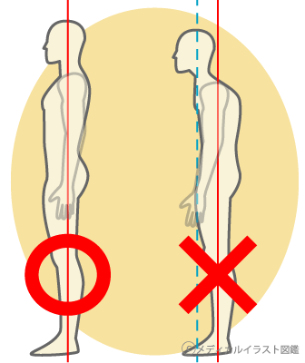 姿勢を意識する