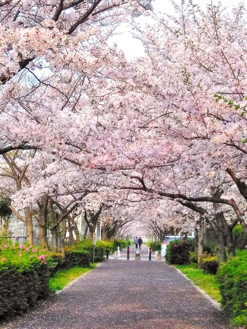 ４月のお休みについて