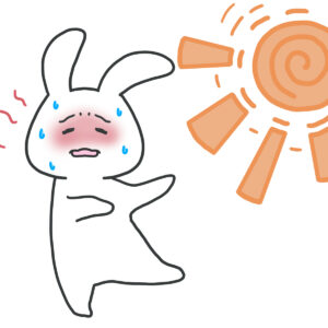 夏本番に備えて